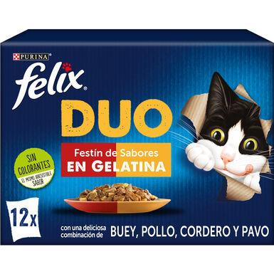Felix Fantastic Duo Carne en Gelatina sobre - Multipack 4